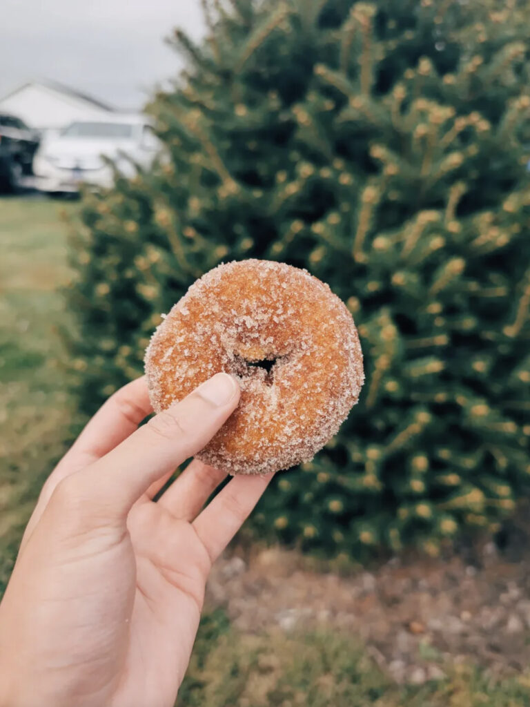 donut!