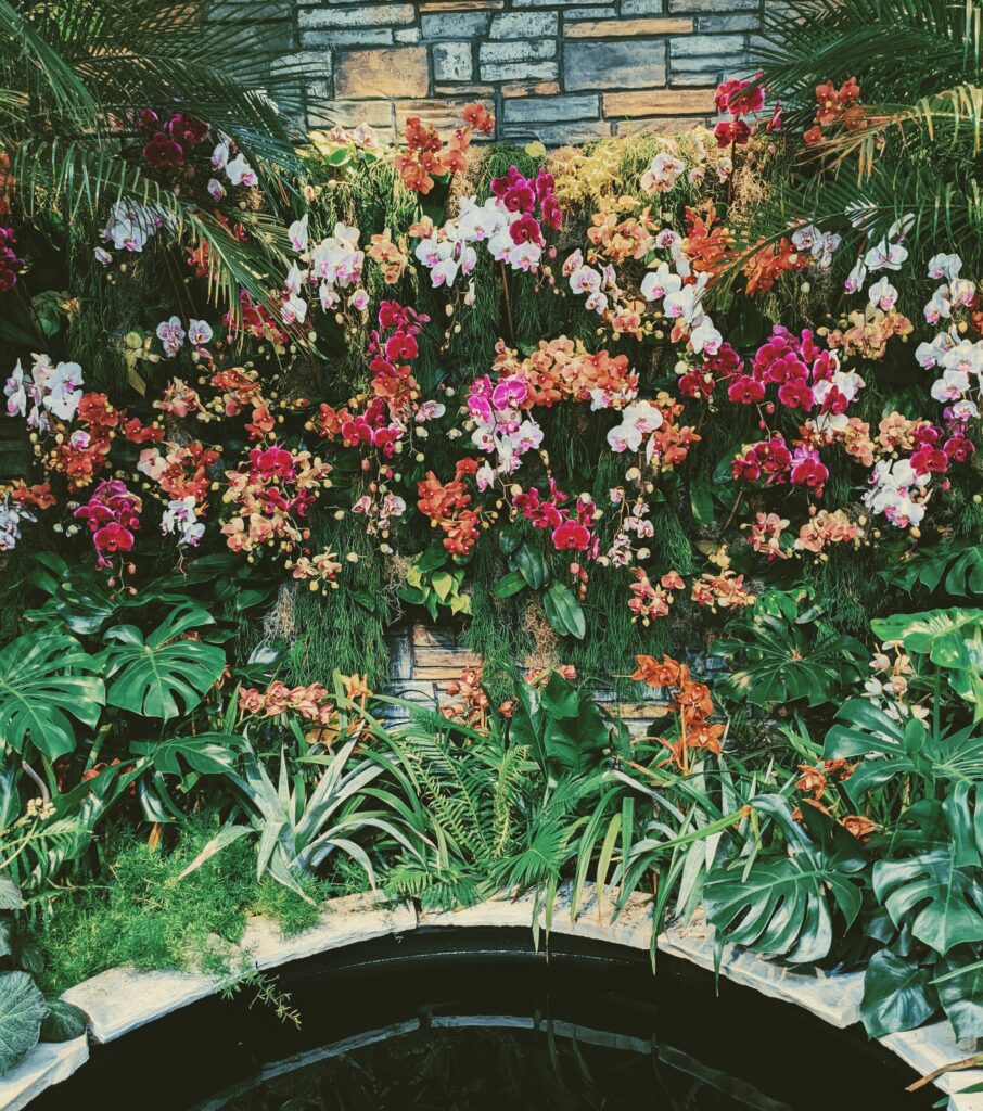 Picture of an orchid installation on a wall. They are in colors of pink, white, and magenta, with greenery below it.